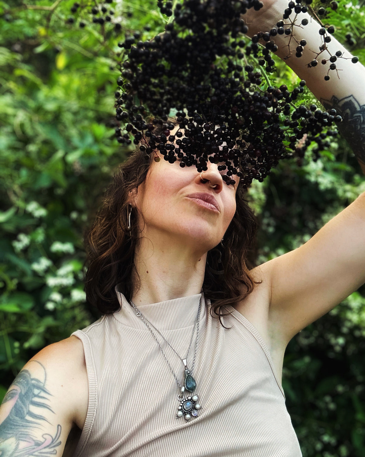 Elder Moon Elderberry Elixir