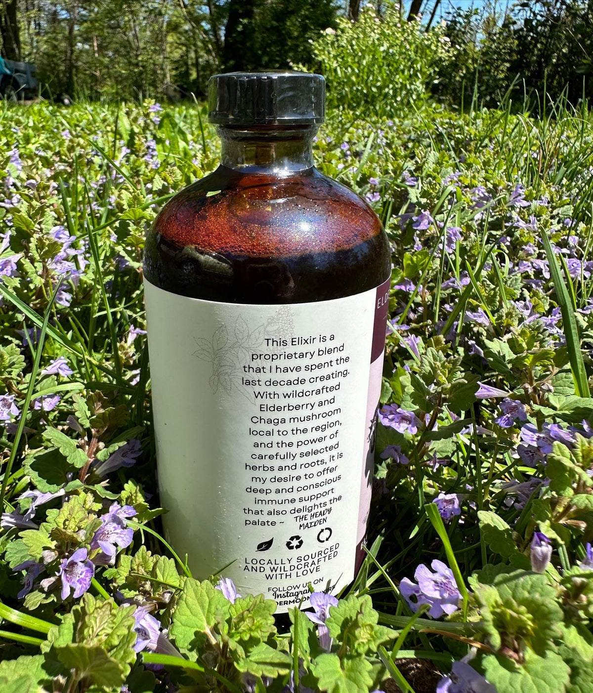 Elder Moon Elderberry Elixir